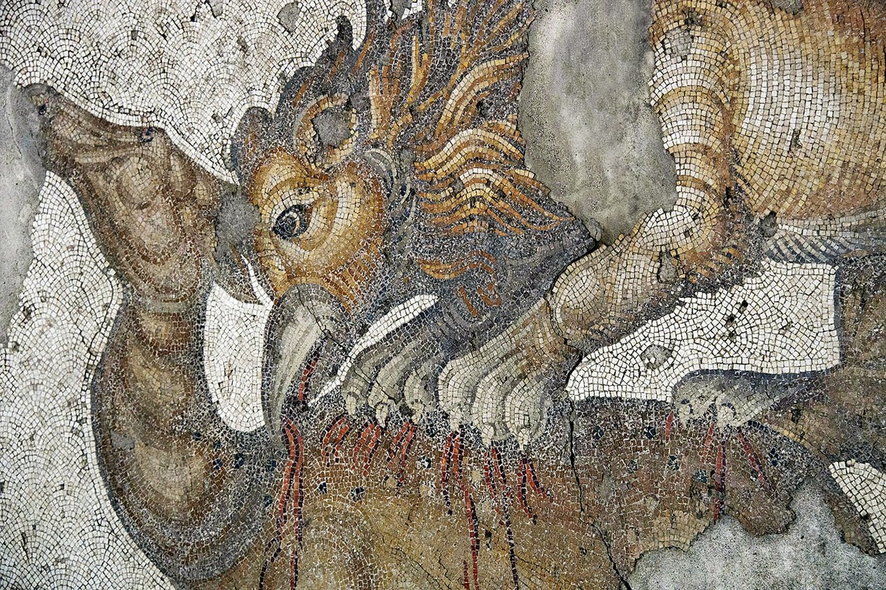 Mosaic depicting a Lion Griffon attacking a deer, Arasta Bazaar, Sultan Ahmet Mosque, Istanbul. بواسطة رومان رومان