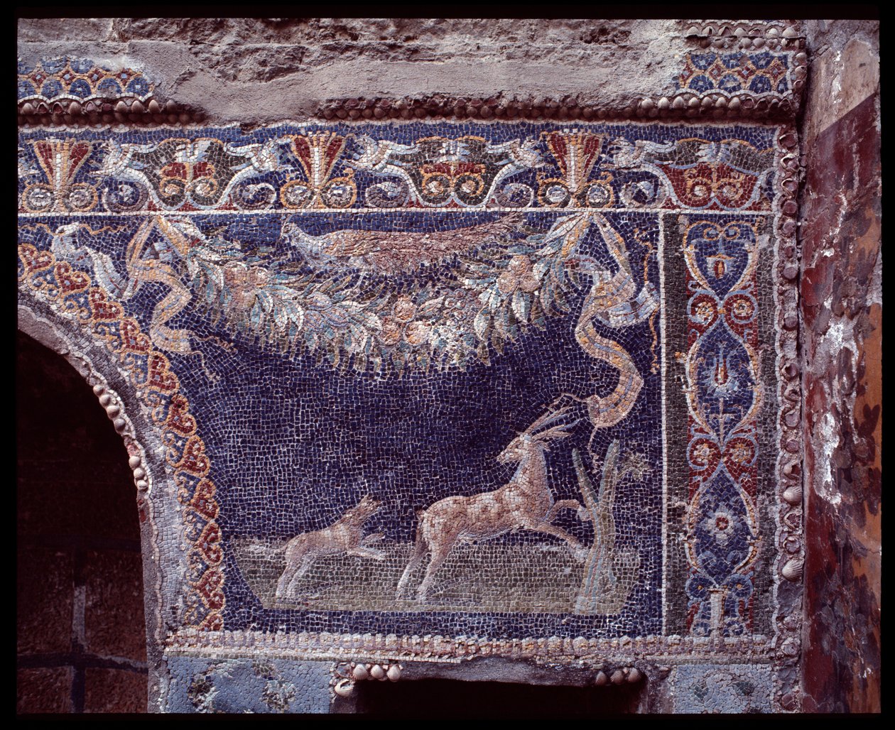 فسيفساء الجدار من nymphaeum of the casa di Nettuno e Anfitrite ، موقع Herculaneum ، القرن الخامس قبل الميلاد - القرن الأول الميلادي بواسطة رومان رومان