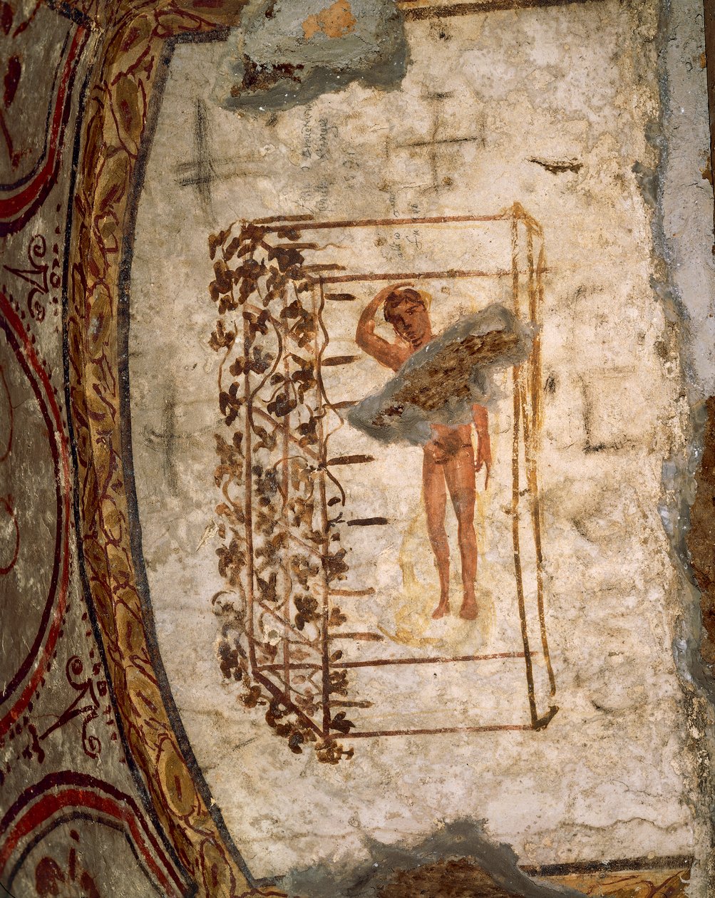 Youth, trellis and vines, 3rd-5th century AD (fresco) بواسطة رومان رومان