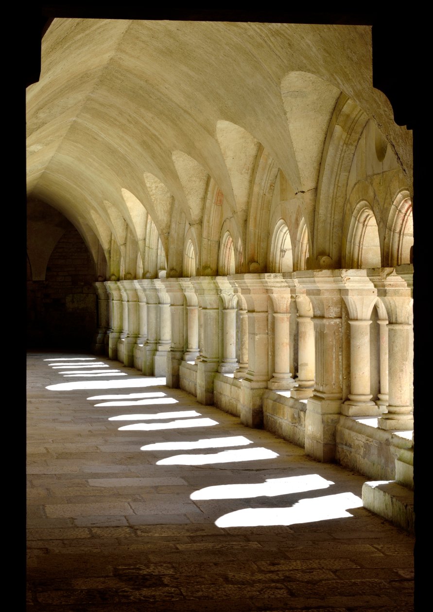 العمارة الرومانية: معرض لقاعة دير Cistercian في Fontenay ، بورغوندي بواسطة رومانيسك