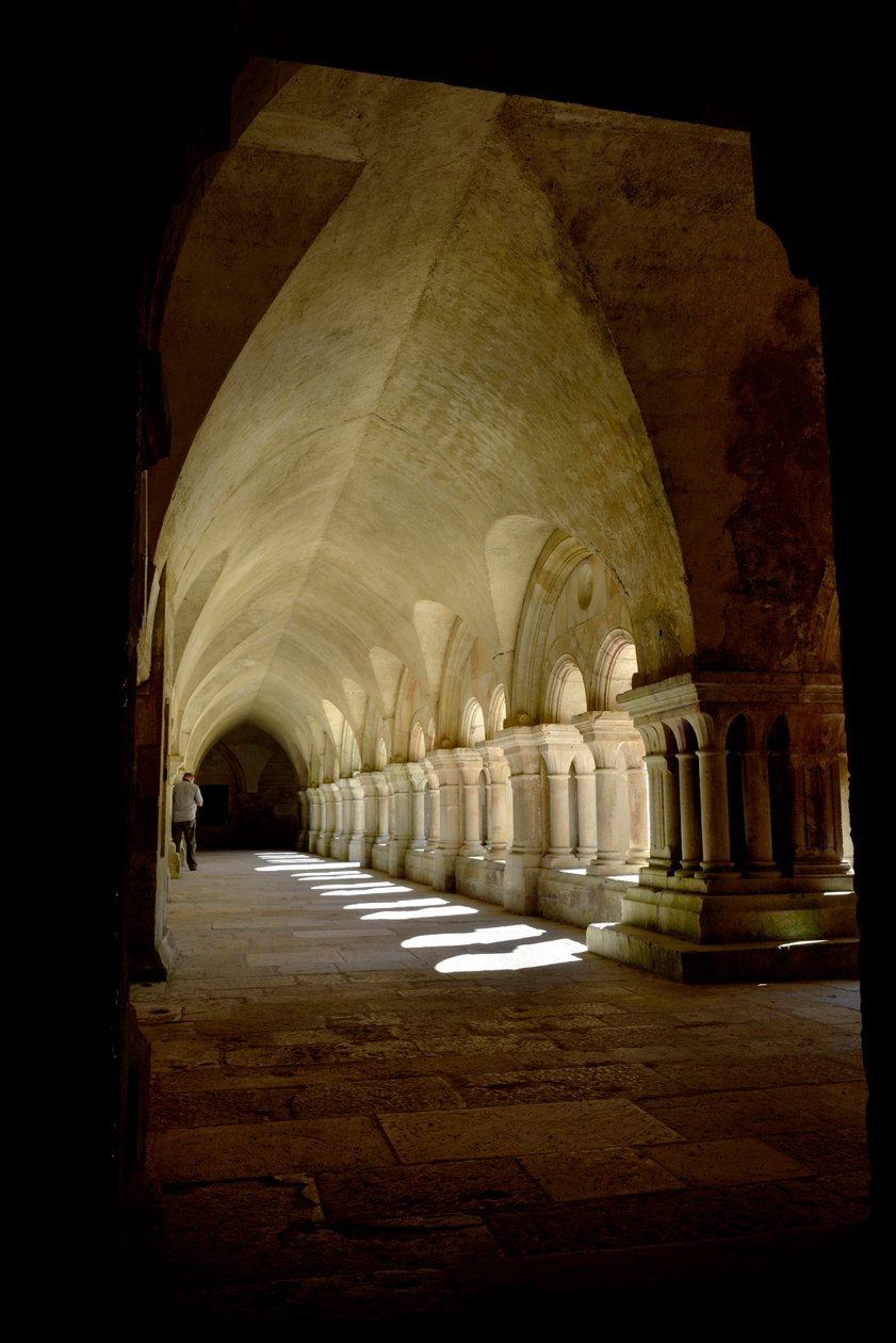 العمارة الرومانية: معرض لقاعة دير Cistercian في Fontenay ، بورغوندي بواسطة رومانيسك