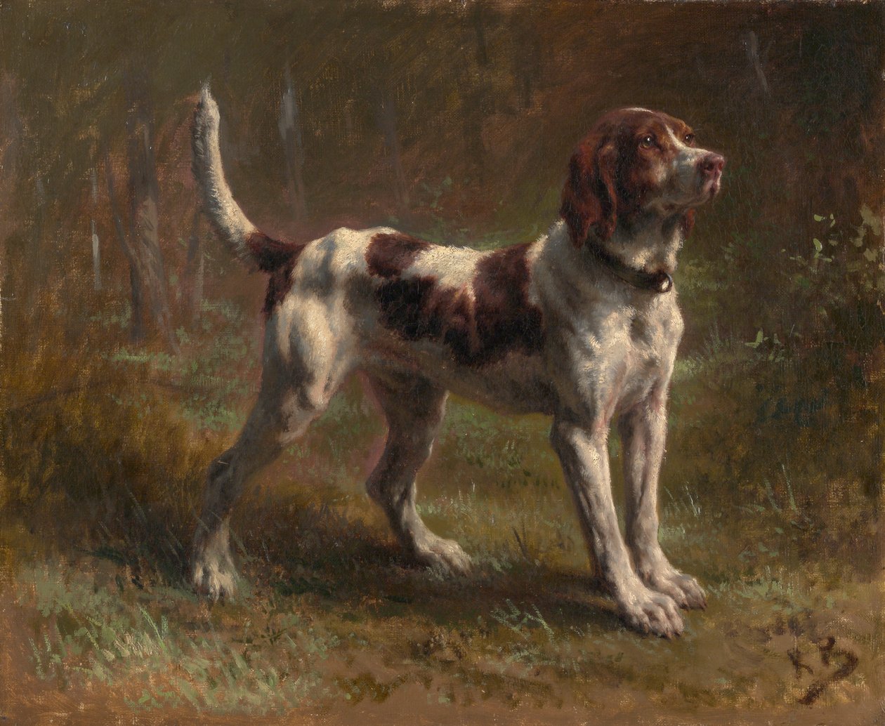 A Limier Briquet Hound ، كاليفورنيا. 1856. بواسطة بينك بونور