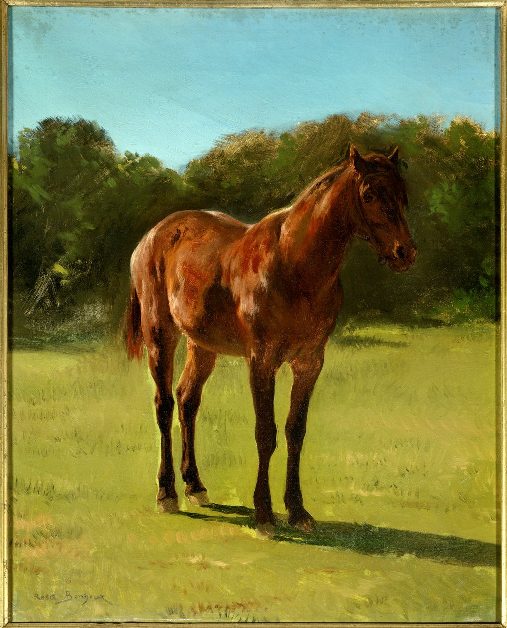 دراسة حصان باى كرز. لوحة روزا بونور (1822-1899) بواسطة بينك بونور