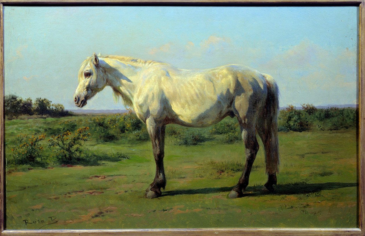 الحصان الأبيض في مرحلة ما قبل. لوحة روزا بونور (1822-1899) بواسطة بينك بونور