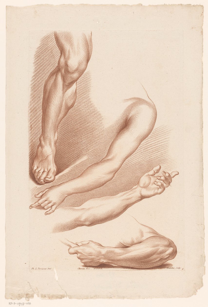 ثلاثة أذرع وساق مبادئ الرسم من الطبيعة ، الجزء السابع (عنوان السلسلة) VIIe Cahier de Principes du Dessin d