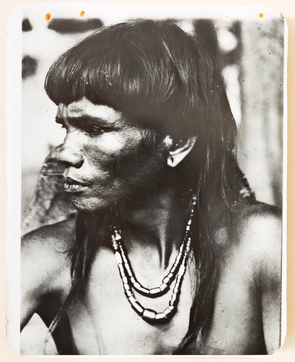 Ifugao من قرية Pindungan ، 1919 (b / w photo) بواسطة روي بارتون