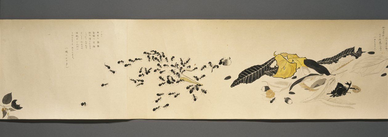 أصدقاء الحياة البرية (Yasei no Tomo) ، فترة Taisho ، Taisho 7th Year ، c.1918 (حبر ومرحاض على ورق منسوج مزين بميكا) بواسطة ريوكا كاواكامي