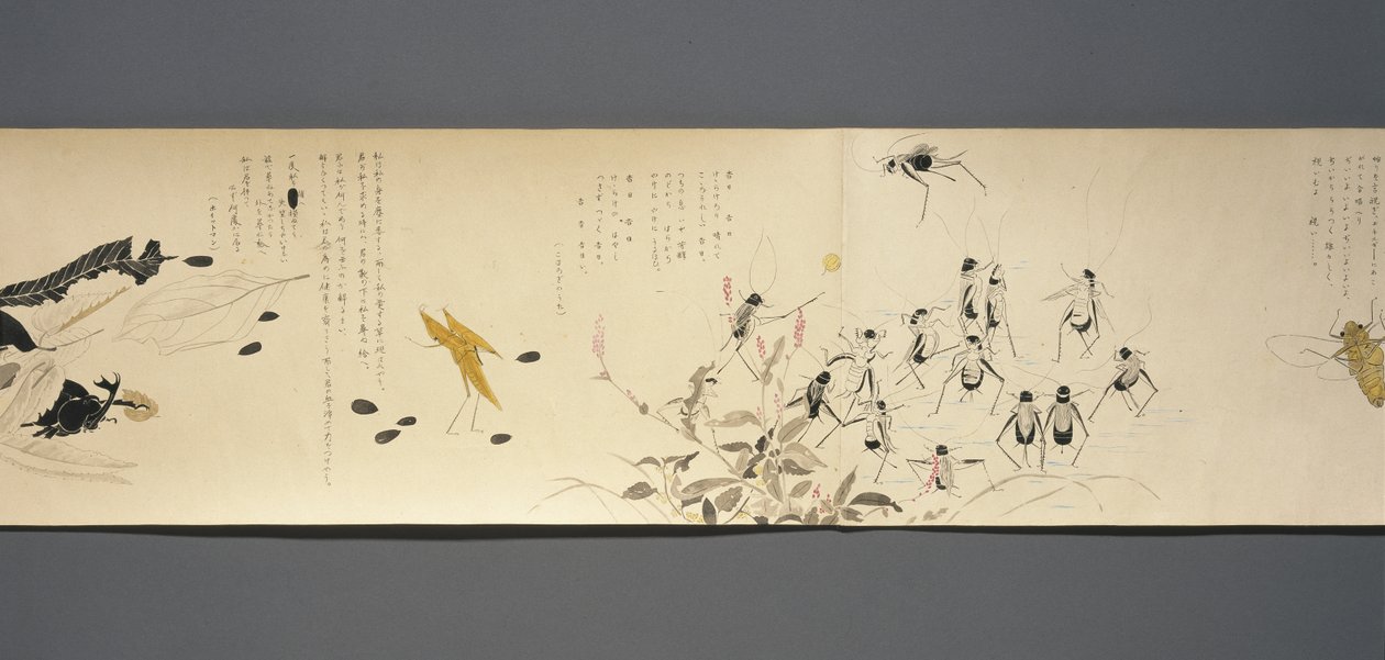 أصدقاء الحياة البرية (Yasei no Tomo) ، فترة Taisho ، Taisho 7th Year ، c.1918 (حبر ومرحاض على ورق منسوج مزين بميكا) بواسطة ريوكا كاواكامي