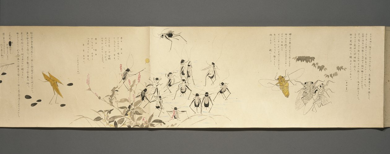أصدقاء الحياة البرية (Yasei no Tomo) ، فترة Taisho ، Taisho 7th Year ، c.1918 (حبر ومرحاض على ورق منسوج مزين بميكا) بواسطة ريوكا كاواكامي