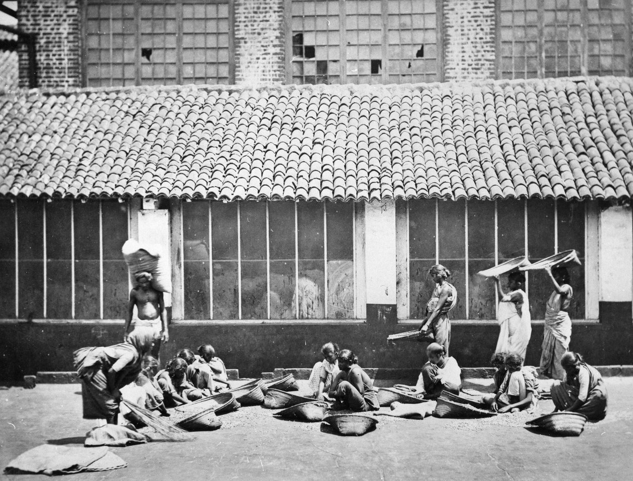 تنظيف وفرز القهوة ، كولومبو ، 1870 بواسطة S. and Shepherd ، C. Bourne