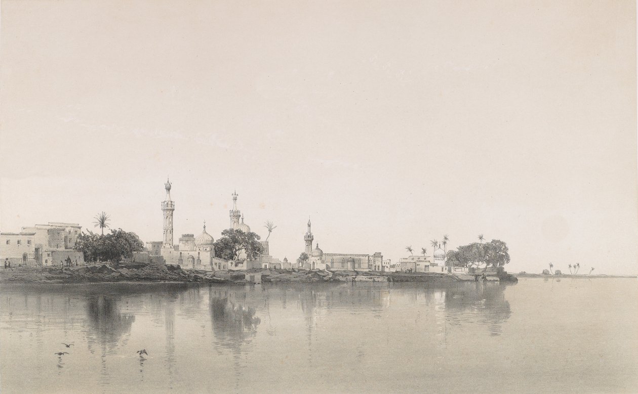 95. فوعة على النيل 1843. بواسطة ساباتير