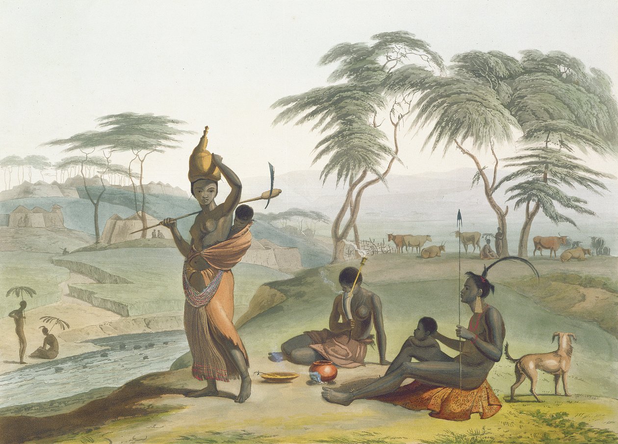 Boosh Wannahs ، اللوحة 8 من "المنظر الأفريقي والحيوانات" ، نقشها الفنان ، 1804 (أكواتينت) بواسطة صموئيل دانييل