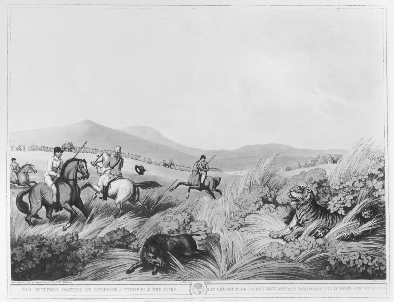 اجتماع Hog Hunters ، من قبل Surprise ، Tigress وأشبالها ، منقوش بواسطة H.Merke (fl.1800-20) بعد التصميم الأصلي للكابتن Thomas Williamson ، الحانة. بقلم إدوارد أورم (1774 - 1820) (bundw pho بواسطة صموئيل هاويت