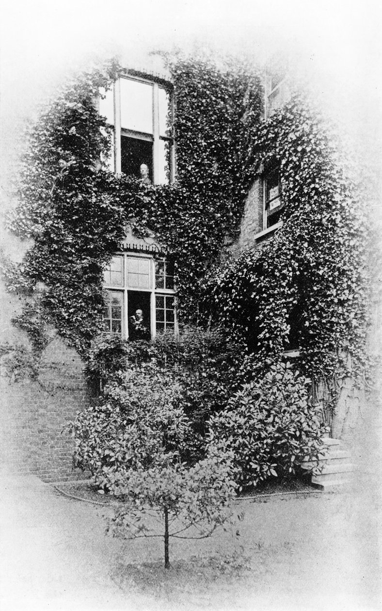 الصيف في The Pines ، Swinburnes home at Putney ، c.1900-09 (صور من وزن الجسم) بواسطة صموئيل جيمس بول