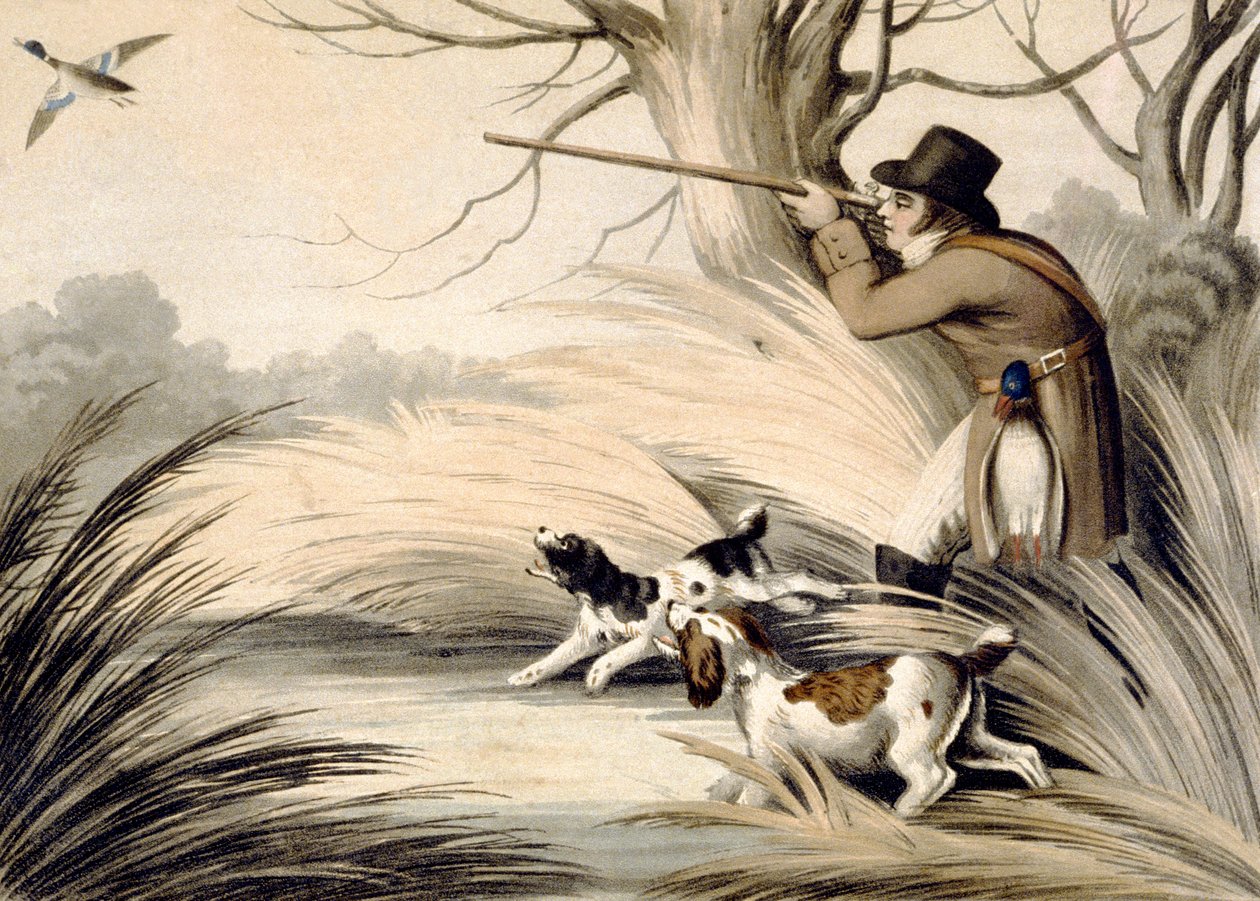 Shooting Duck, engraved by H. Merke, c.1809 (colour litho) بواسطة صموئيل (بعد) هوويت