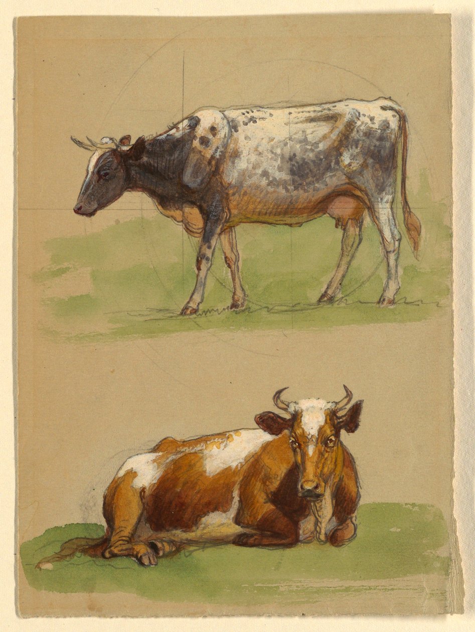 رسم، ماشية وبقرة تمشي وبقرة رابضة، 1875-80 بواسطة صموئيل كولمان