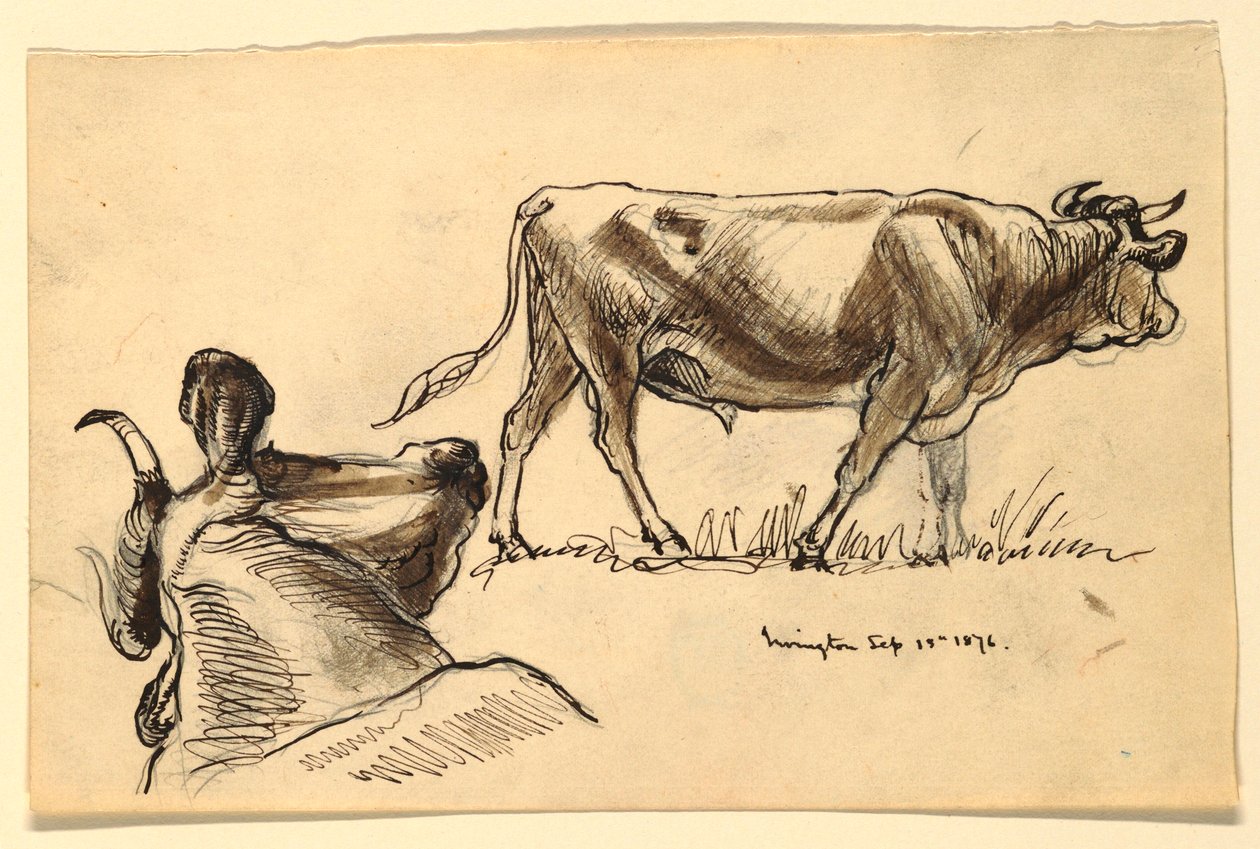 رسم، اسكتشات. ماشية، إيرفينغتون، سبتمبر 1876 بواسطة صموئيل كولمان