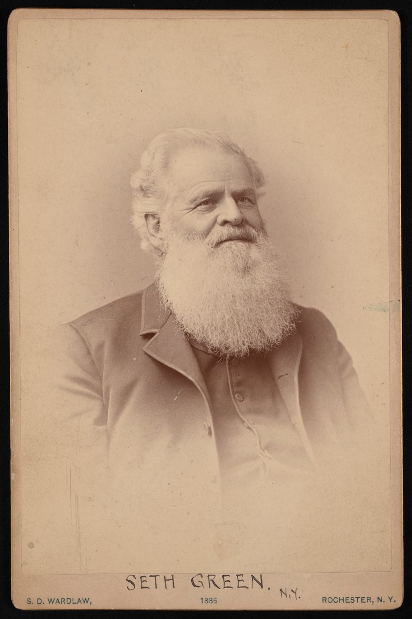 صورة لسيث جرين 1817-1888 ، 1886. بواسطة صموئيل د واردلو
