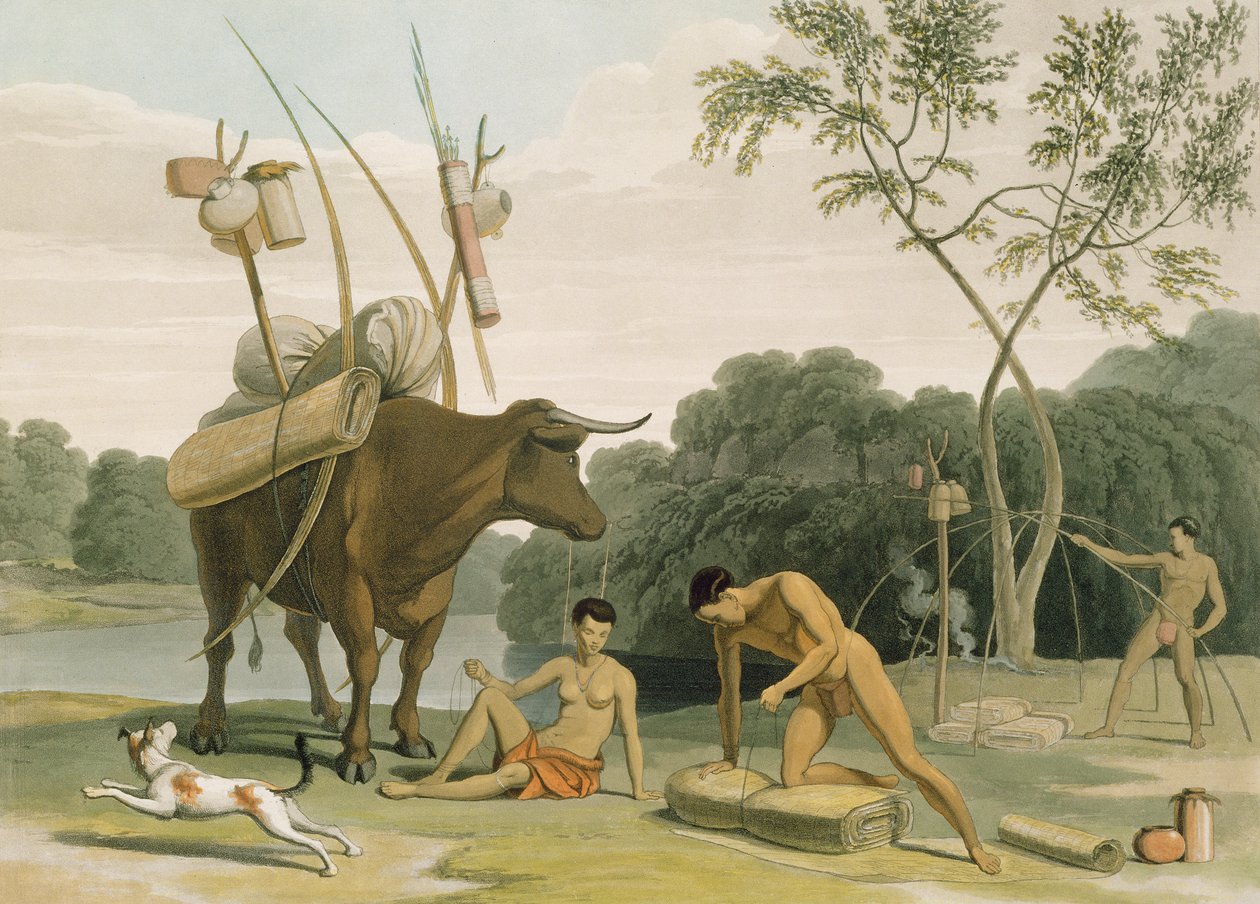 Korah Hottentots تستعد للإزالة ، اللوحة 20 من "المنظر الأفريقي والحيوانات" ، نقشها الفنان ، 1805 (أكواتينت) بواسطة صموئيل دانييل