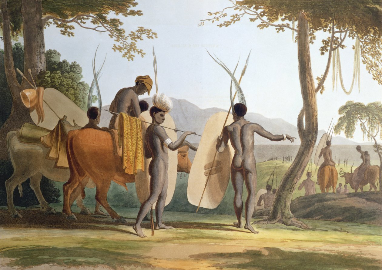 في مارس ، اللوحة 5 من "المناظر الطبيعية والحيوانات الأفريقية" ، نقشها الفنان ، 1804 (مائي) بواسطة صموئيل دانييل