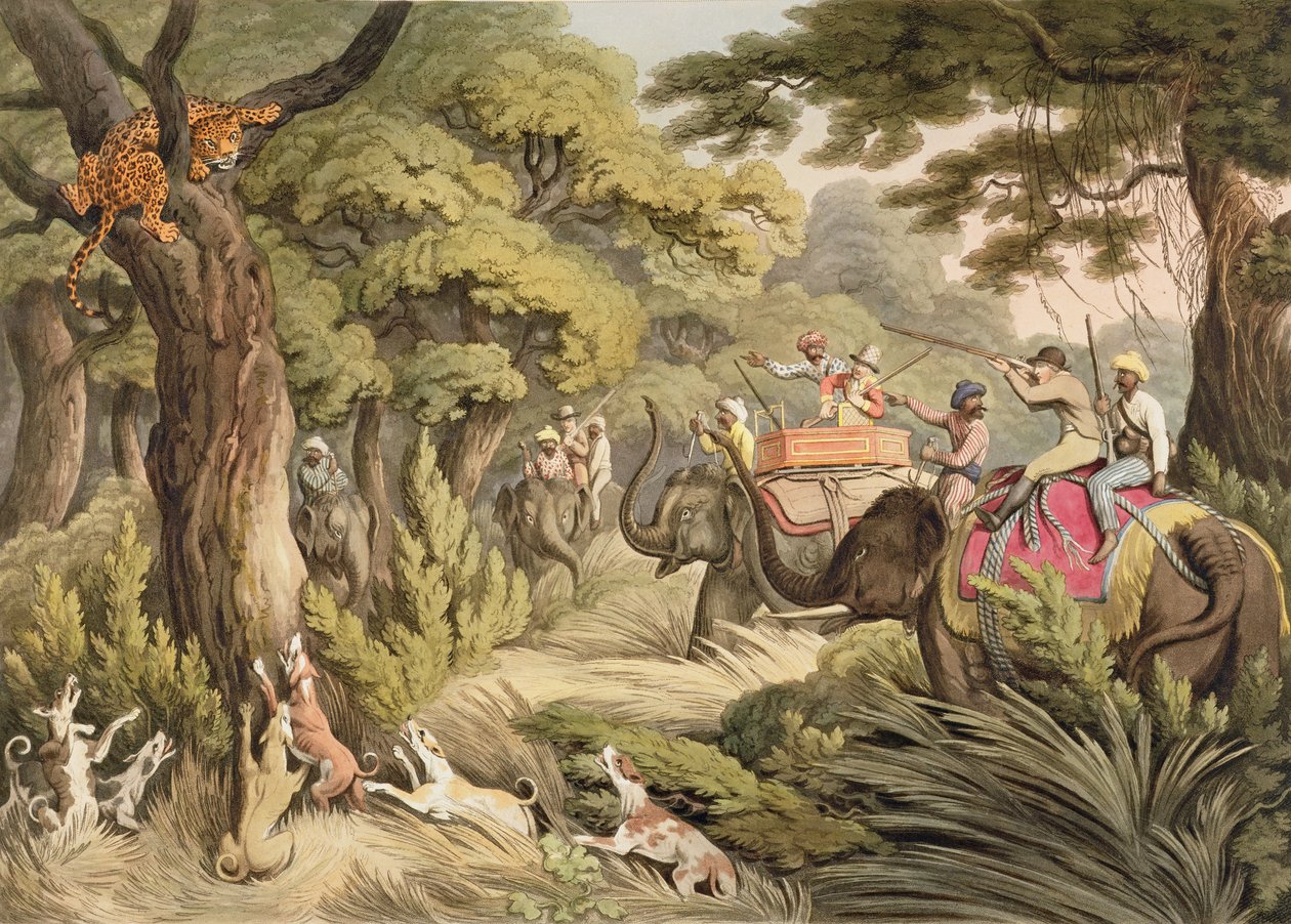 إطلاق النار على ليوبارد ، من أورينتال فيلد سبورتس ، حانة. بقلم إدوارد أورم ، 1807 (طباعة) بواسطة صموئيل هاويت