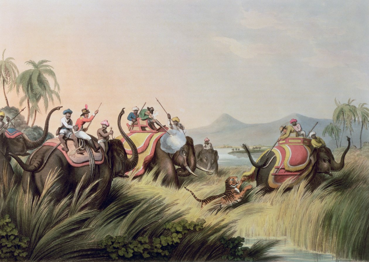 The Tiger At Bay ، من أورينتال فيلد سبورتس ، حانة. بقلم إدوارد أورم ، 1807 (طباعة) بواسطة صموئيل هاويت