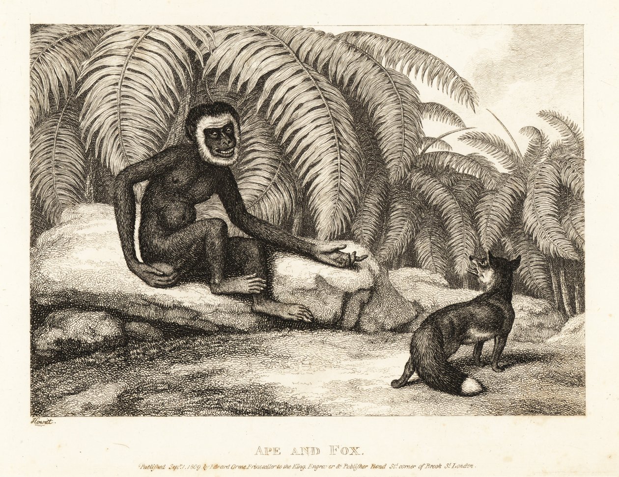 يسأل قرد عديم الذيل ثعلبًا عن بعض ذيله. القرد والثعلب. 1811 (حفر) بواسطة صموئيل هوويت
