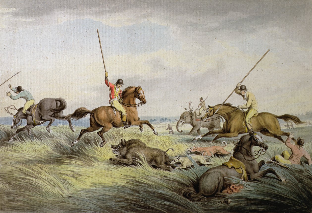 The Hog Chase - The Kill ، من "مجموعة Orme&39;s من المطبوعات الرياضية البريطانية" ، 1822 بواسطة صموئيل هوويت