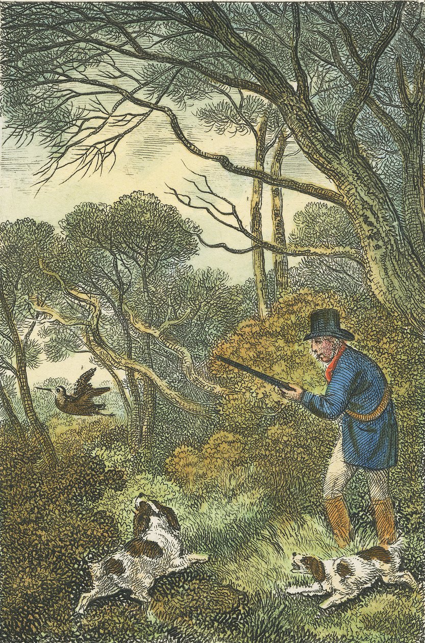 Woodcock Shooting ، 1819 (نقش يدوي) بواسطة صموئيل هوويت