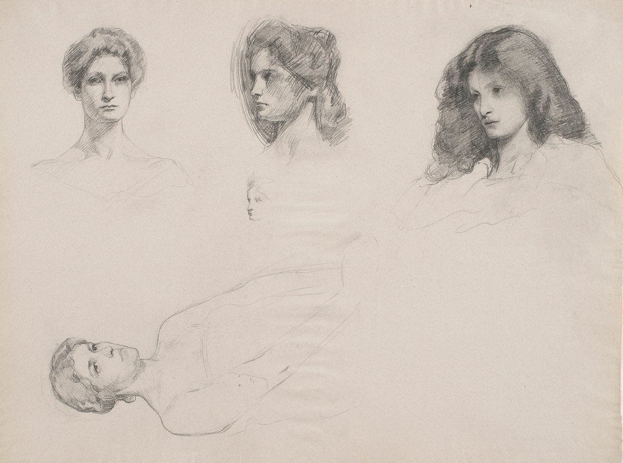رسم تخطيطي للرؤوس النسائية بواسطة صموئيل ايشام