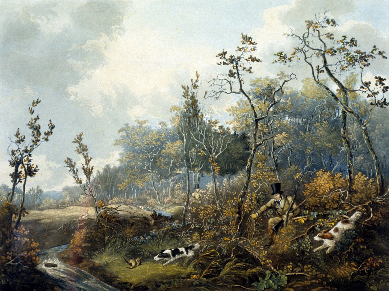 Woodcock Shooting, engraved by H.C. Pyall بواسطة صموئيل جون إغبرت (بعد) جونز