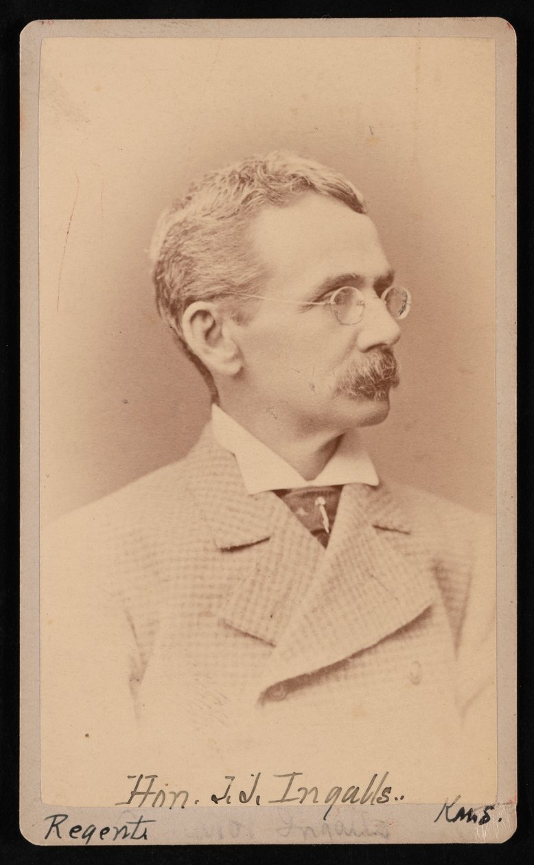 صورة لجون جيمس إينغلس 1833-1900 ، بين 1876 و 1880. بواسطة صموئيل مونتاج فاسيت