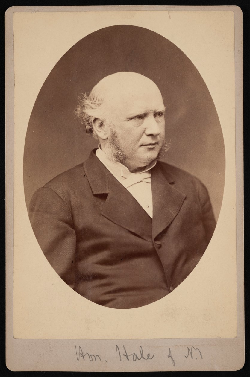 صورة لروبرت سافورد هيل 1822-1881 ، قبل عام 1881. بواسطة صموئيل مونتاج فاسيت