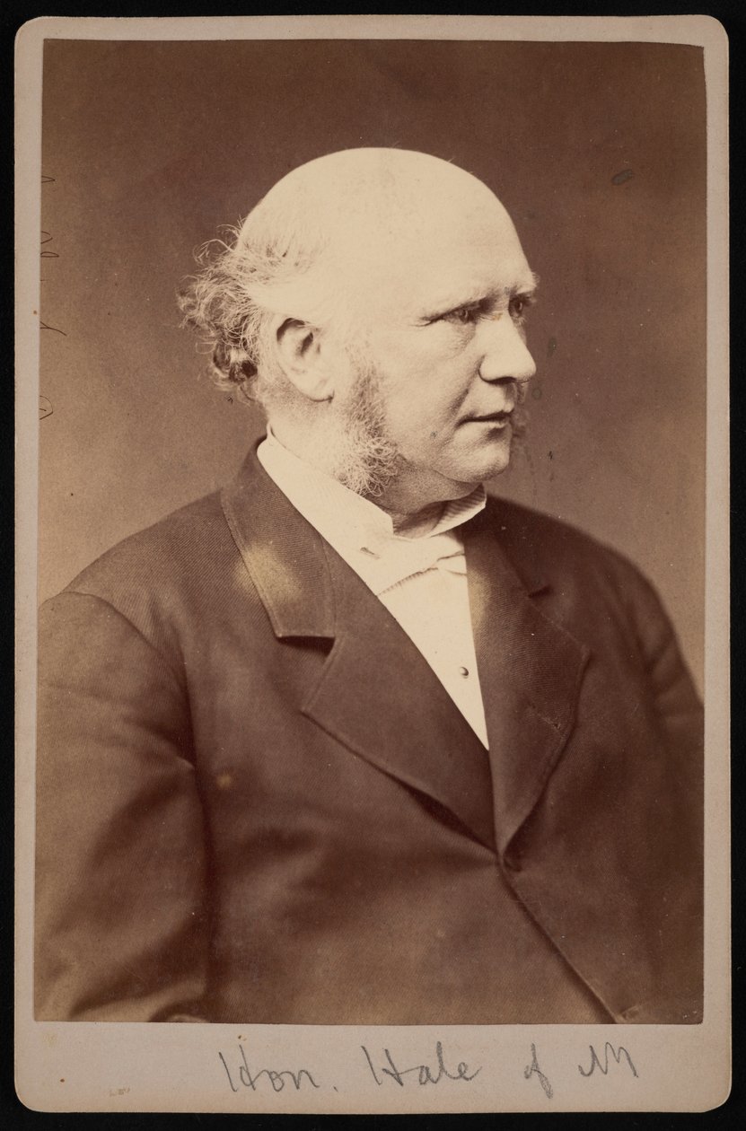 صورة لروبرت سافورد هيل 1822-1881 ، قبل عام 1881. بواسطة صموئيل مونتاج فاسيت
