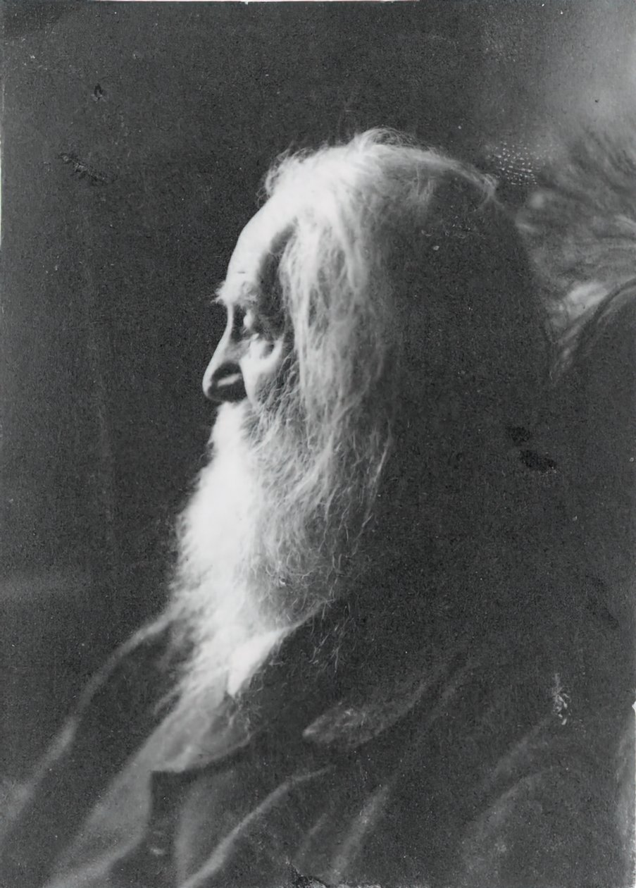 والت ويتمان في كامدن ، نيوجيرسي ، ج. 1891. بواسطة صموئيل موراي