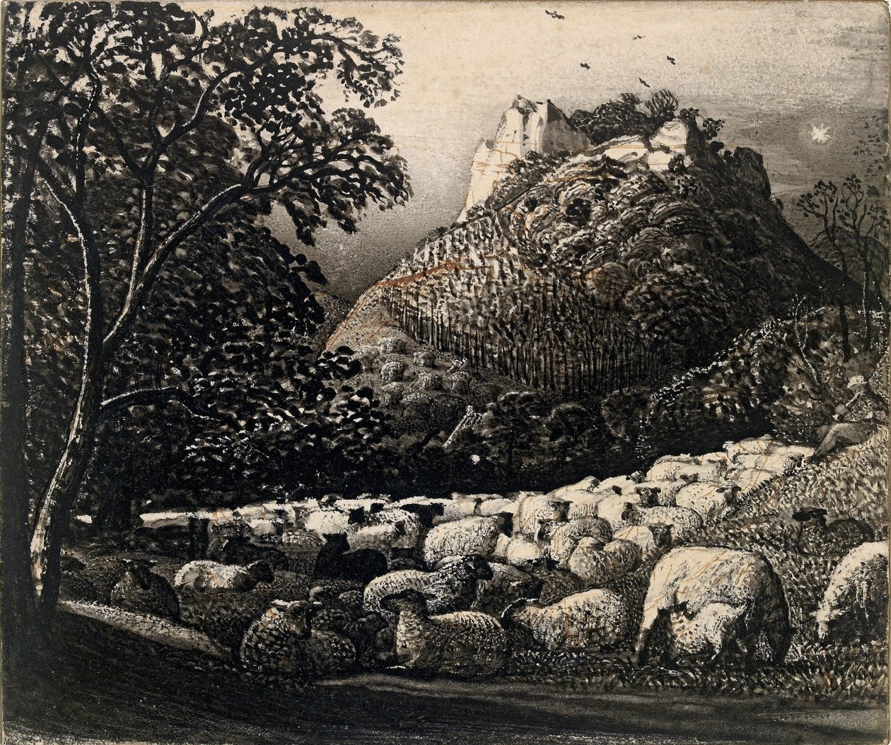 القطيع والنجم 1831-1832 بواسطة صموئيل بالمر
