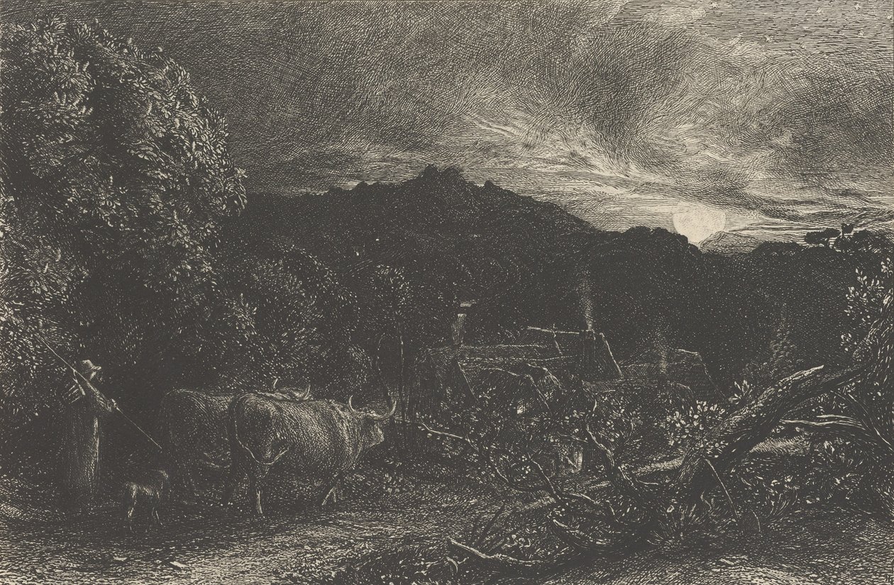 بدأ The Weey Plowman ، أو The Herdsman ، أو Tardus Bubulcus ، عام 1858. بواسطة صموئيل بالمر