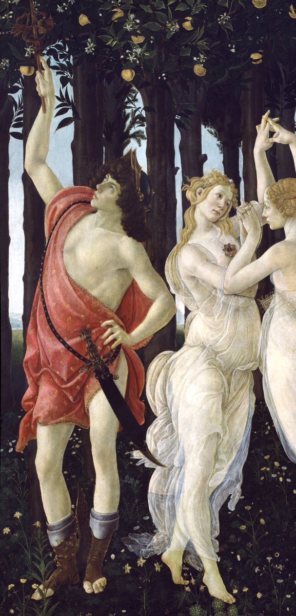 بريمافيرا ، c.1478 ، درجة حرارة على لوحة 558 بواسطة ساندرو بوتيتشيلي