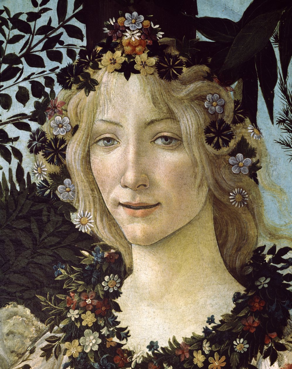 بريمافيرا ، c.1478 ، درجة حرارة على لوحة 558 بواسطة ساندرو بوتيتشيلي