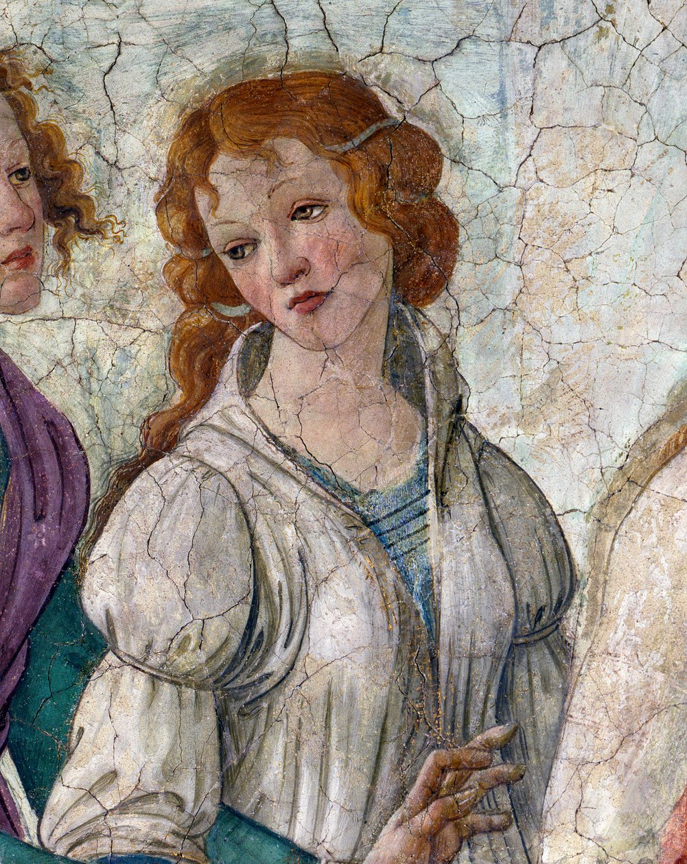 يقدم عرض Venus and the Graces هدية لفتاة صغيرة تمثل النعم (Charites). فريسكو فيلا Lemmi. لوحة لساندرو بوتيتشيلي (1444-1510) بواسطة ساندرو بوتيتشيلي