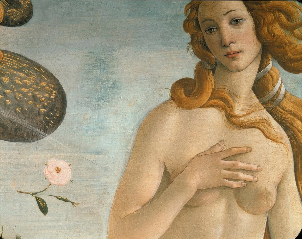 ولادة فينوس (Venus Anadyomene) بواسطة ساندرو بوتيتشيلي