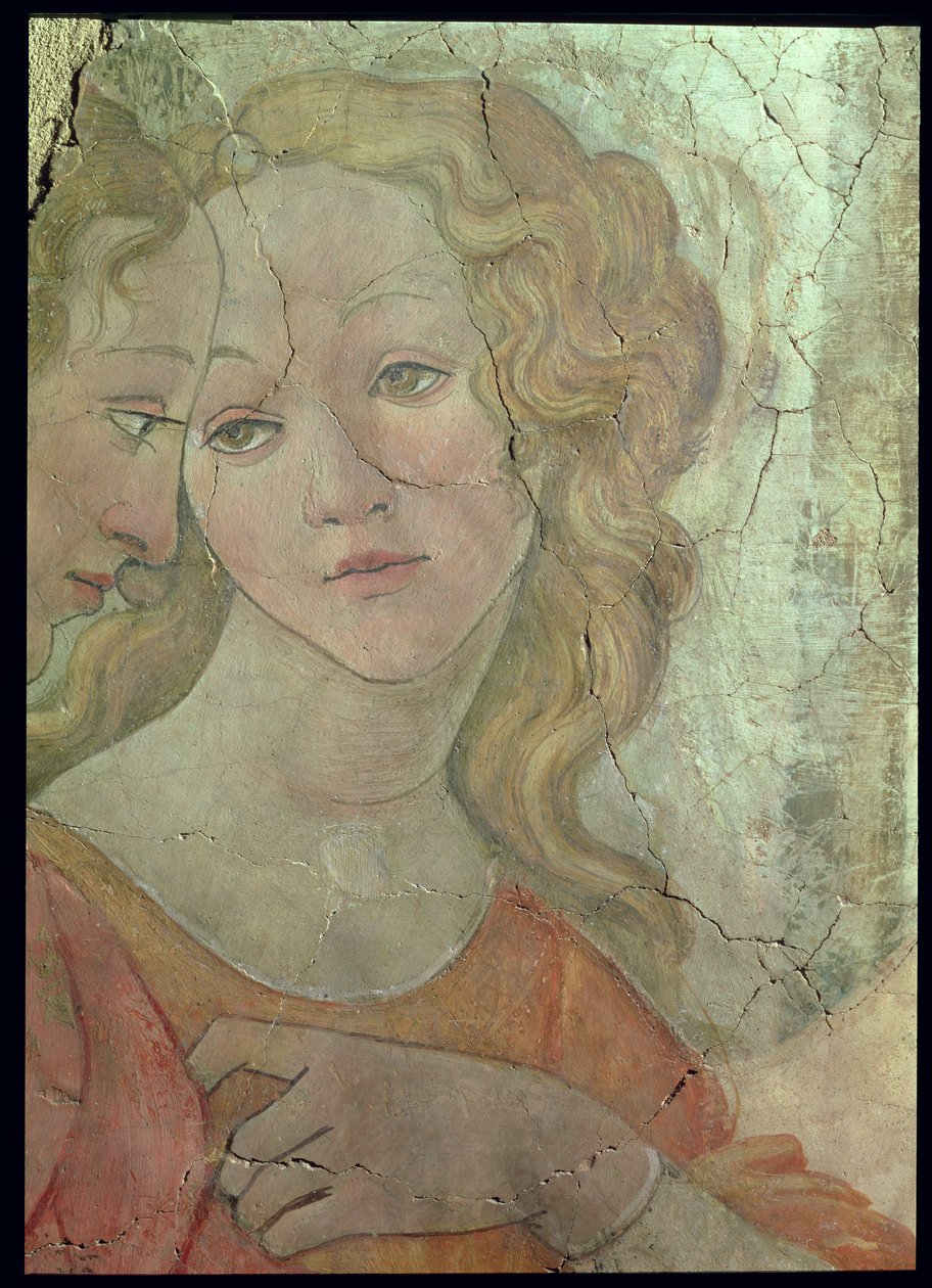فينوس والنعم الثلاثة يقدمان هدايا لفتاة صغيرة ، تفاصيل إحدى النعم ، c.1483 تفاصيل جدارية من 33760 انظر أيضًا 93891-2 ، 93894 بواسطة ساندرو بوتيتشيلي