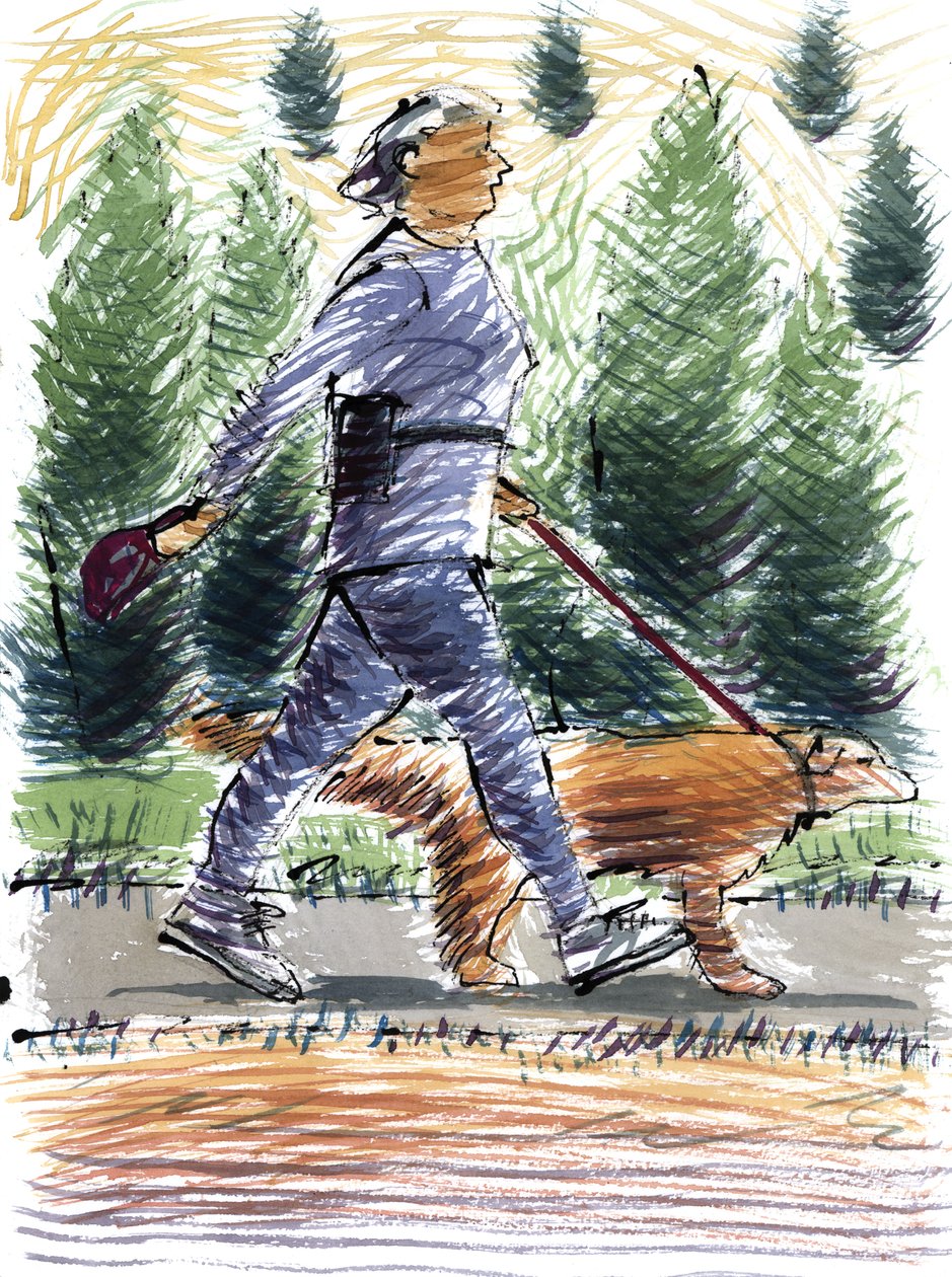 Walking the Dog، 2009 (الاكريليك) بواسطة سارة هايوارد