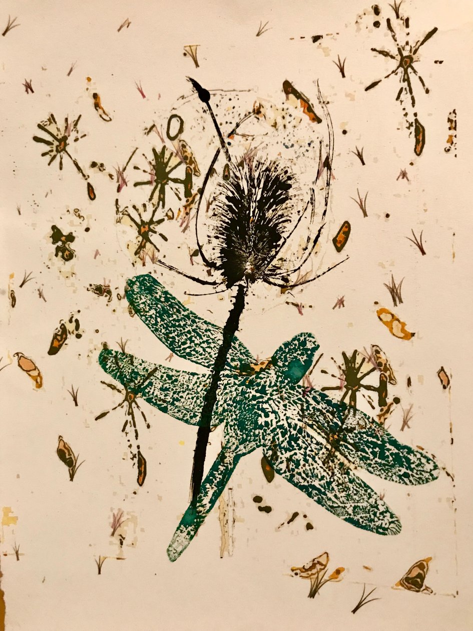 Teasel (monoprint على ورق) بواسطة سارة طومسون إنجلز