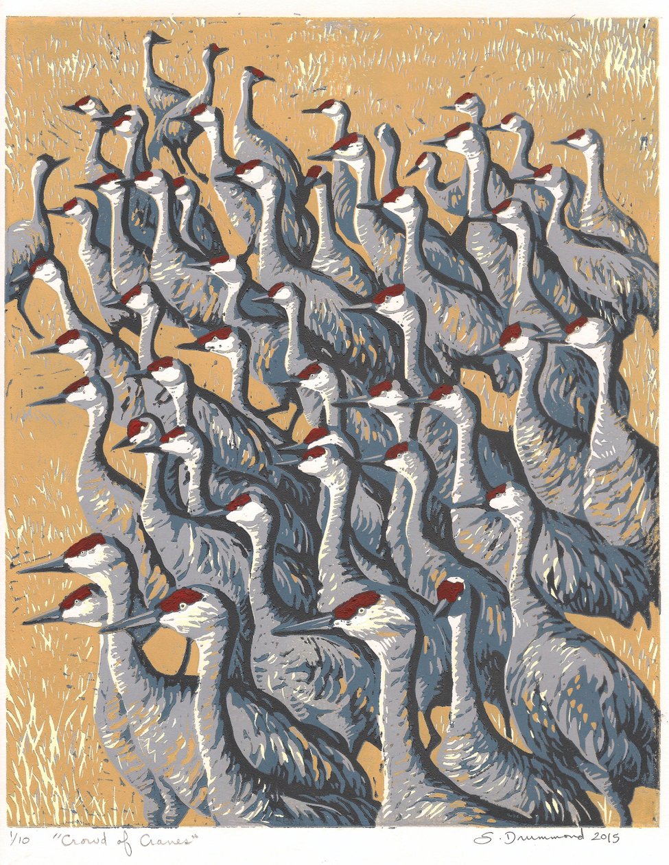  بواسطة سارة دروموند