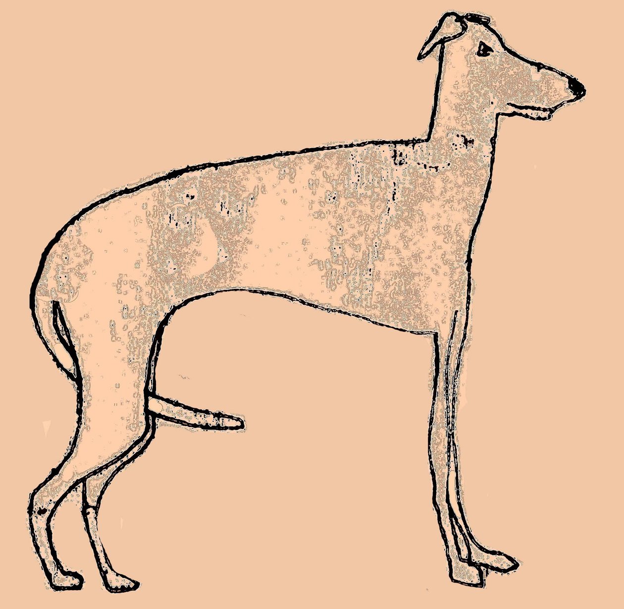 كلب نحيف بواسطة سارة طومسون إنجلز