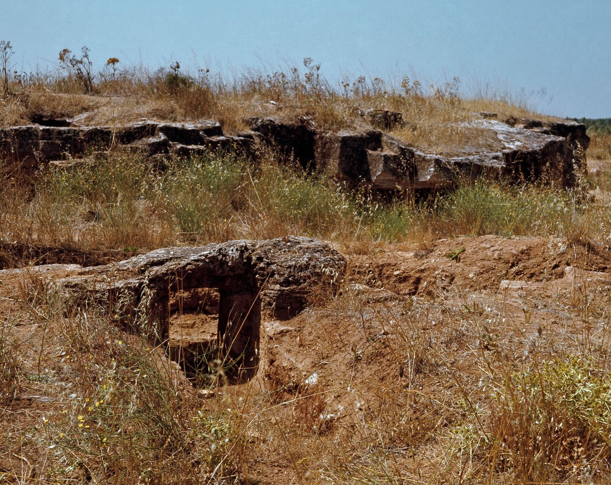 Nuragic culture (nuraghi) Sardinian: ruins of the prenuragic city on the megalitic site of Anghelu Ruju: the central tower. 20th century BC. Alghero, Sardinia Italy بواسطة حضارة سردينيا نوراجيك