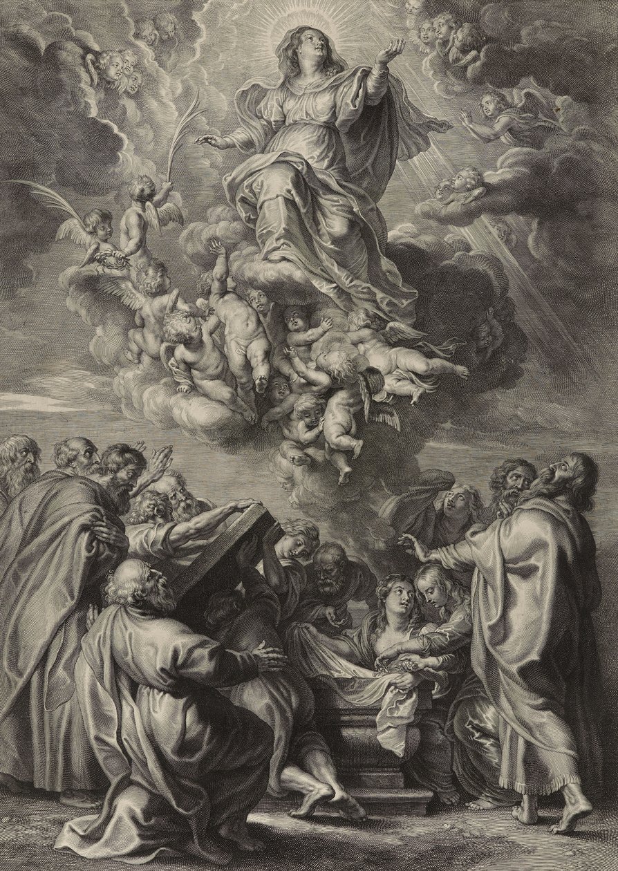 The Assumption of the Virgin (engraving on laid paper) بواسطة وبخ آدم بولسويرت