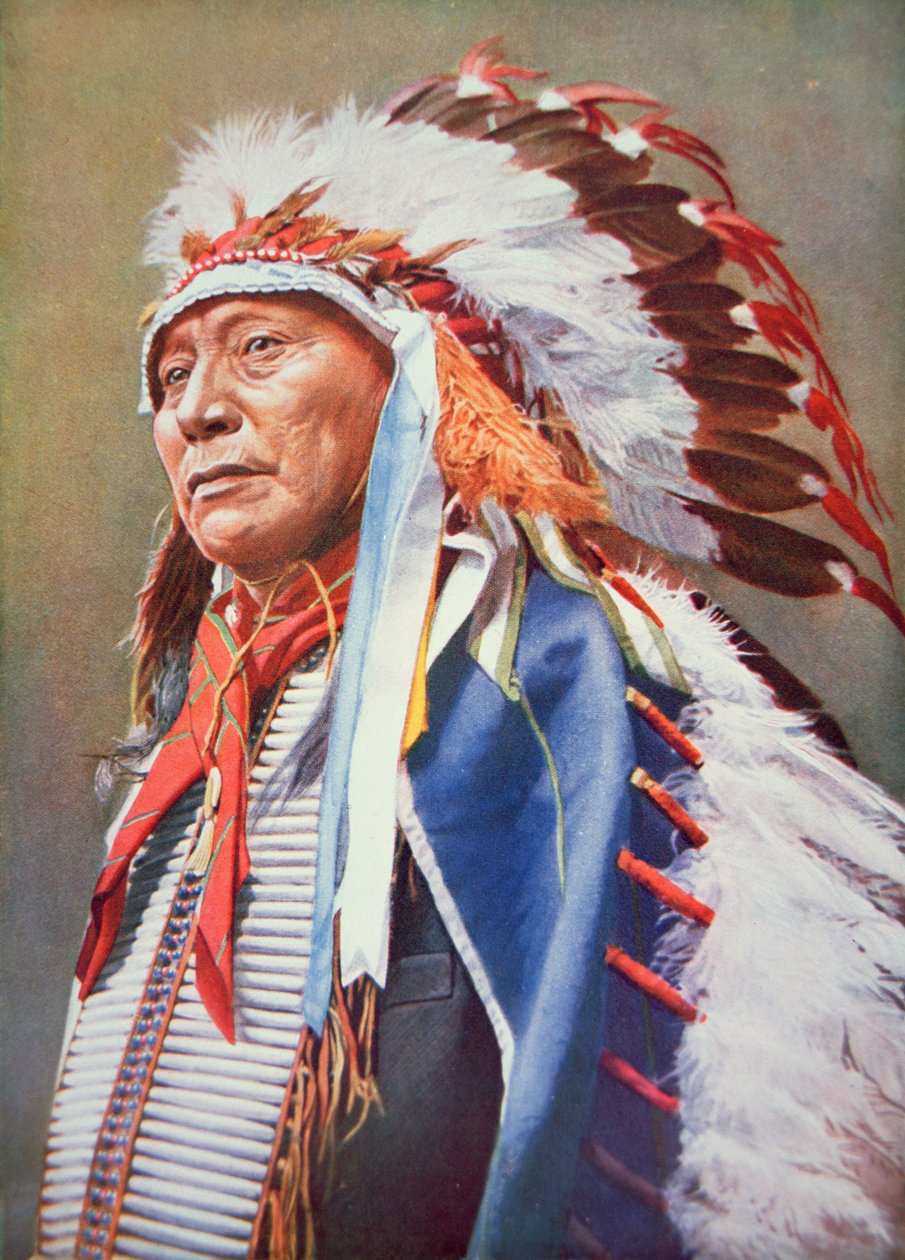 Chief Hollow Horn Bear (1850-1913) (colour litho) بواسطة المدرسة الأمريكية