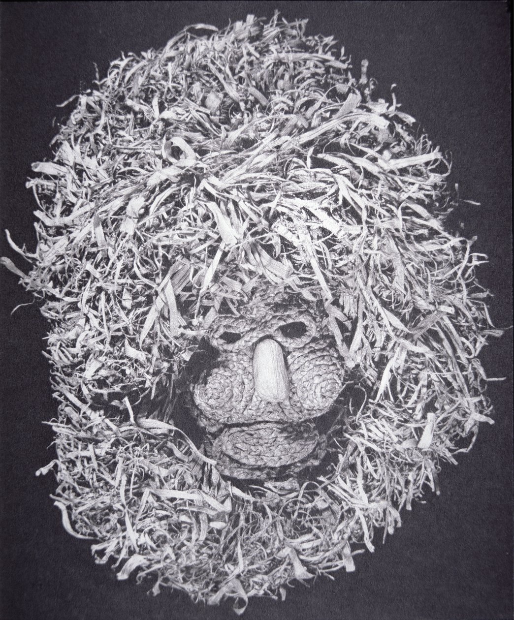 Iroquois Mask (corn husk) بواسطة المدرسة الأمريكية
